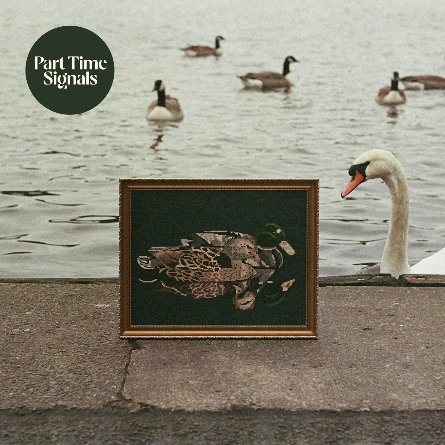 Part Time Signals - Duck's Back, Baby